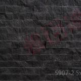 立山黑(福鼎黑)劈開型